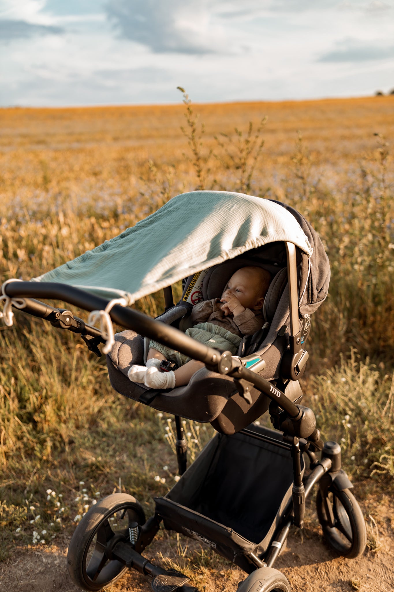 Kinderwagen Sonnensegel Mantulien Meadow